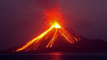 14f93e5b-fa6d-44e3-b618-389569b8d5bf_169
