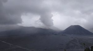 077156300_1552900621-IMG-20190318-WA0043