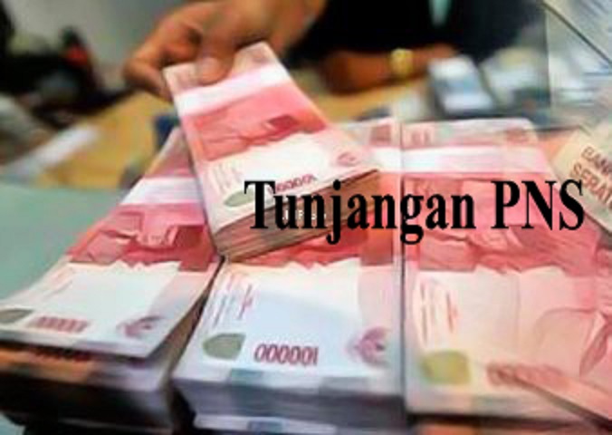 tpp pns 2018 naik