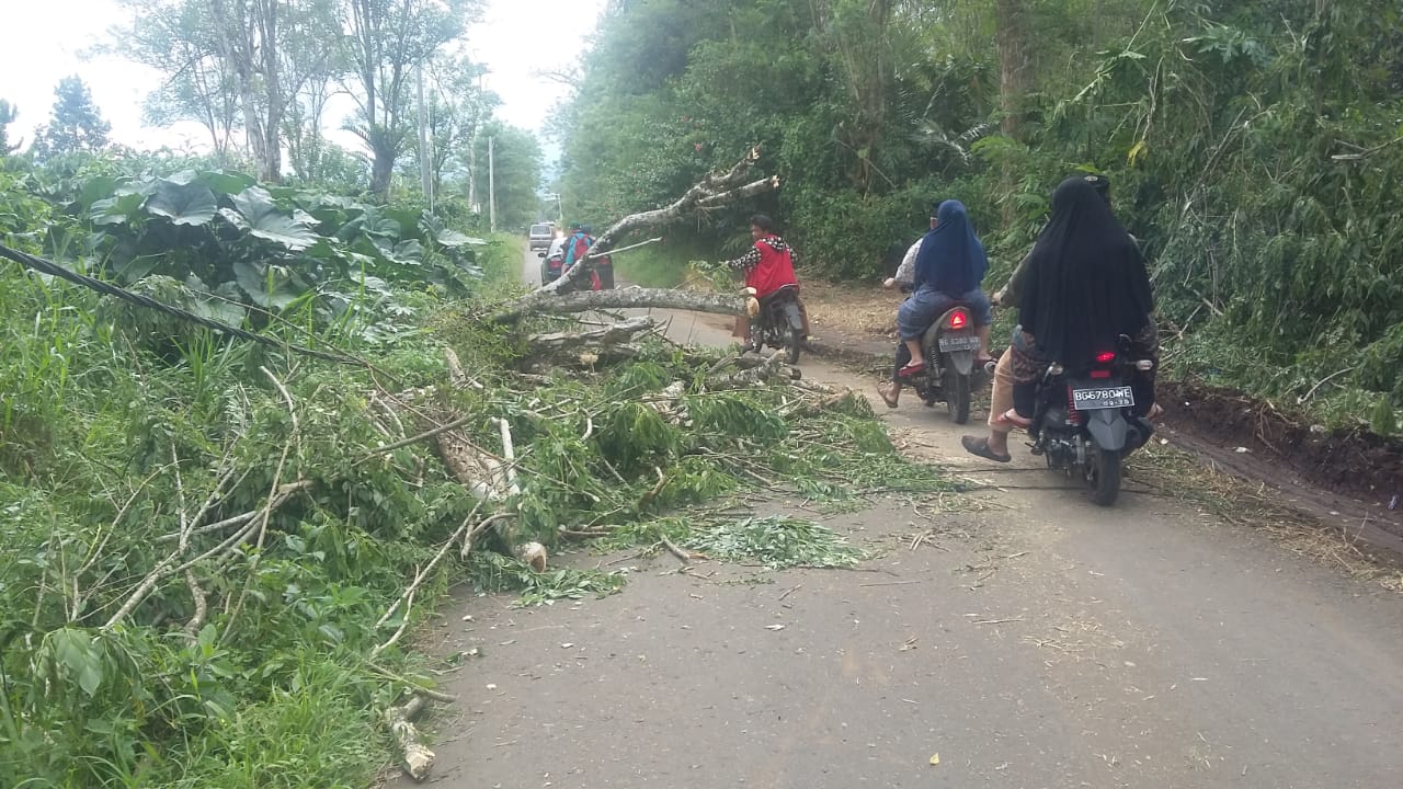 IMG-20190404-WA0019
