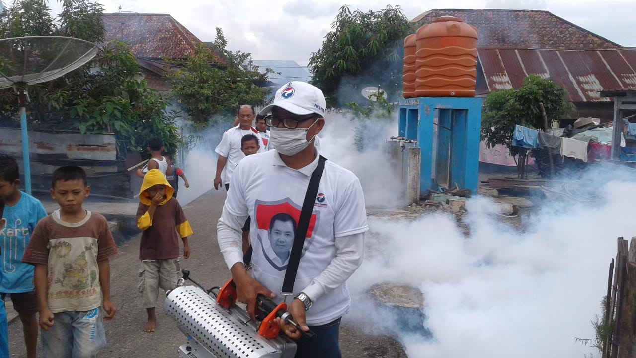 Perindo1