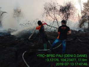 IMG-20190714-WA0013