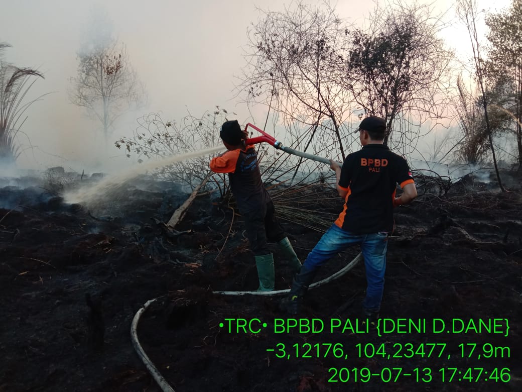 IMG-20190714-WA0013