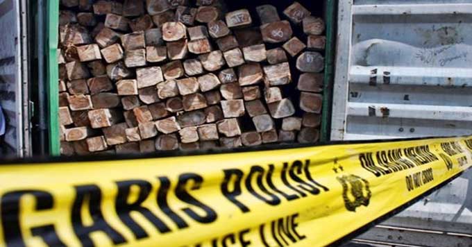ilustrasi-illegal-logging-ilegal-kayu