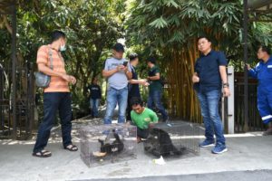 IMG-20190913-WA0062