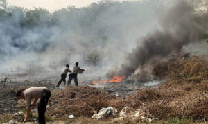 polsek-tanjung-agung-gotong-royong-padamkan-kebakaran-lahan