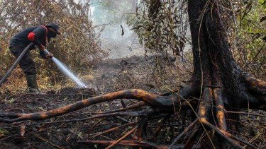05-14-48-5c7ff9af95e92-luasan-lahan-terbakar-di-riau_375_211