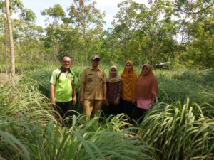 IMG-20191004-WA0033