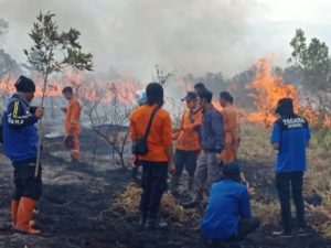 IMG-20191007-WA0043