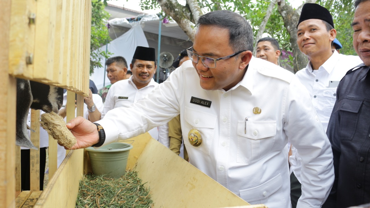 IMG-20191027-WA0019