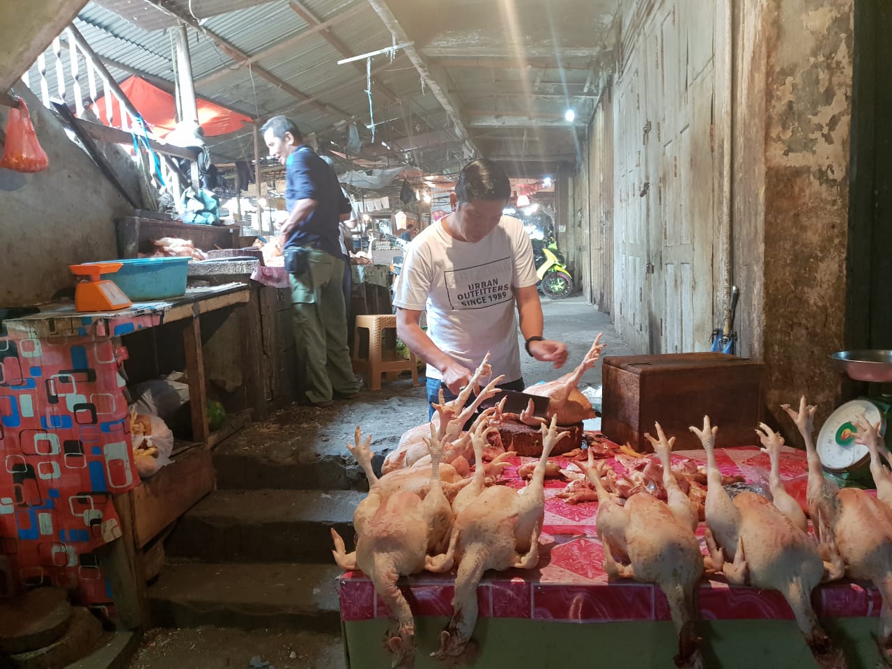 Pedagang ayam
