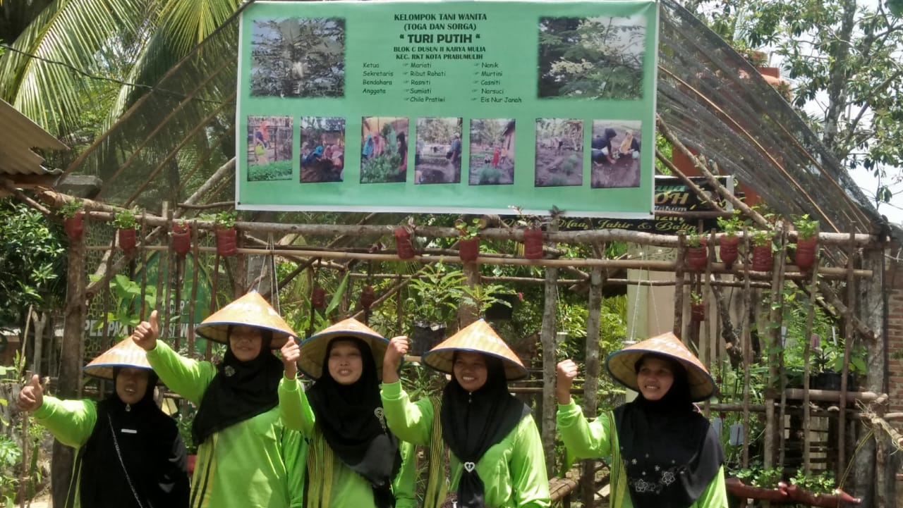 Turi Putih 2