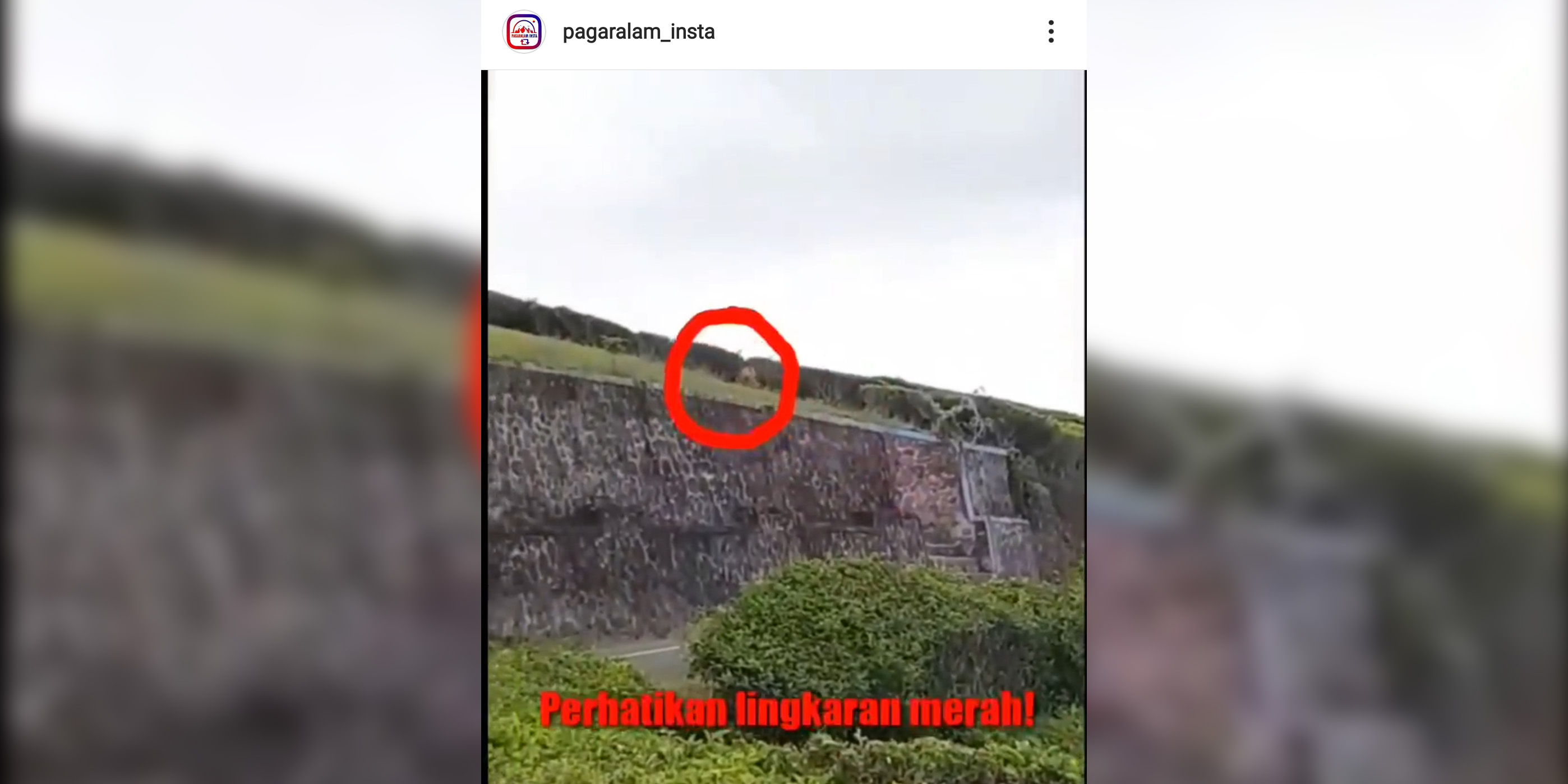 Screenshot_20191116-090841_Instagram