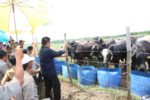 IMG-20191223-WA0104