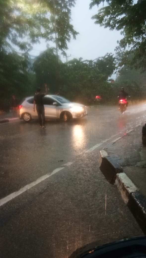 Pohon tumbang