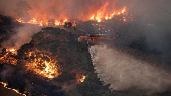 Kebakaran Hutan di Australia