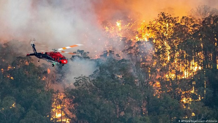 Parahnya Kebakaran Hutan di Australia Diibaratkan Bagai