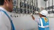 PLN