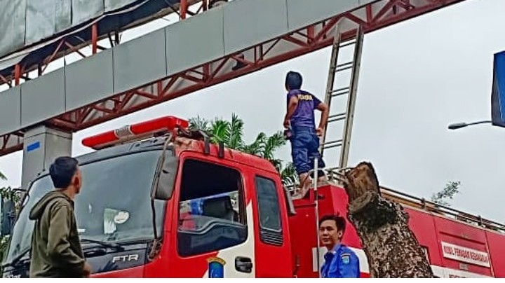 satpol PP DAN DAMKAR OKI.jpg