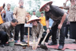 Gambir