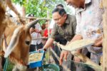 IMG-20200319-WA0046
