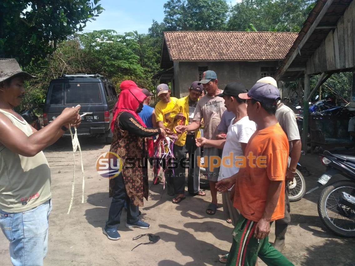 Gelumbang2