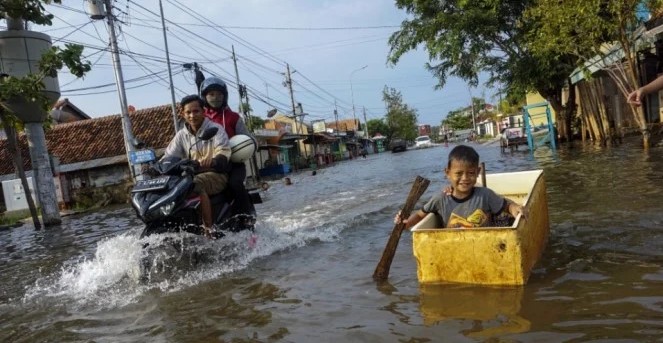 BAnjir