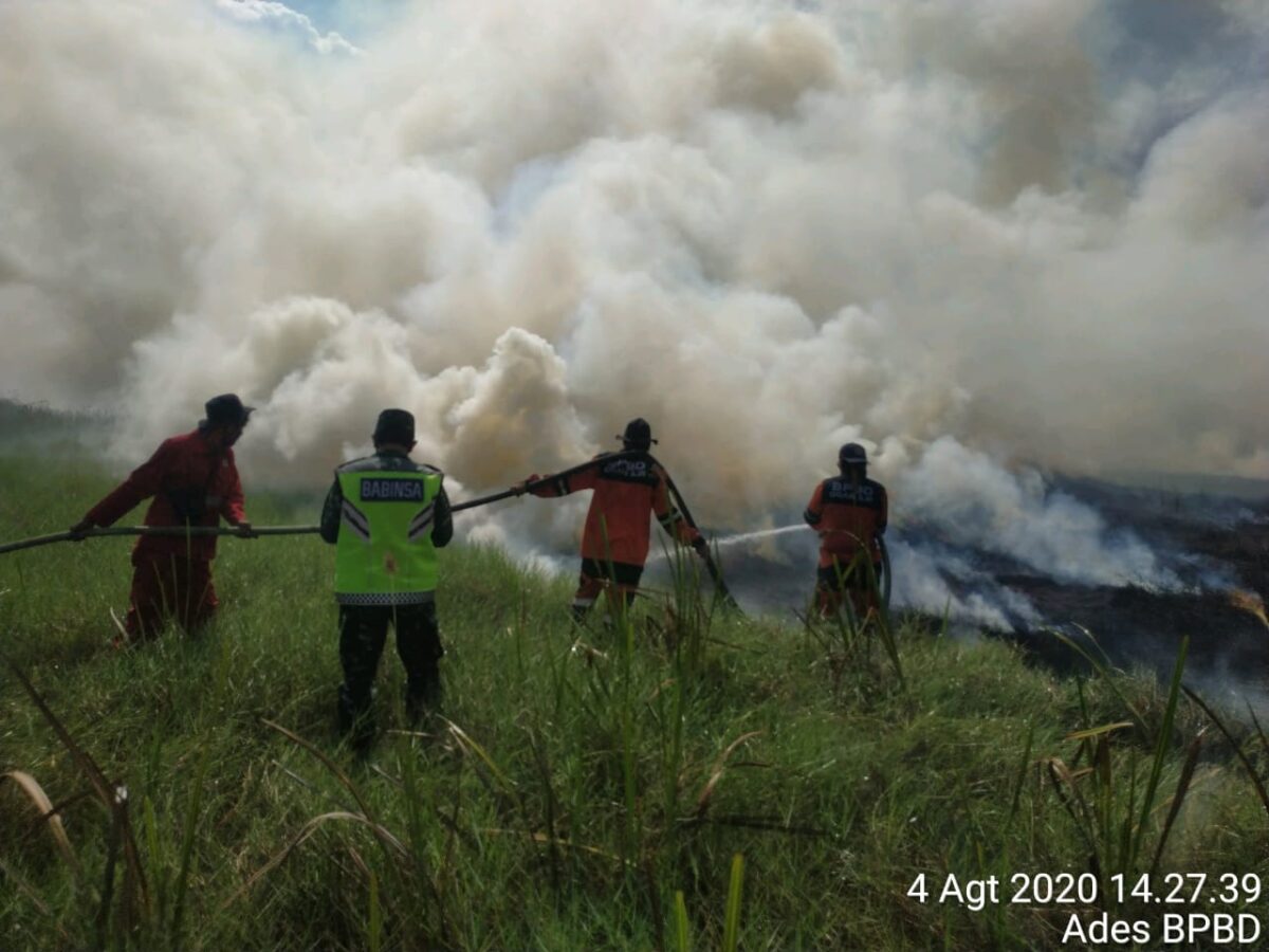 IMG-20200805-WA0039