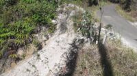IMG-20200921-WA0007.jpg