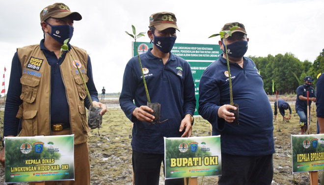 Padat Karya Mangrove