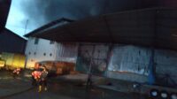Terbakar