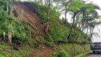 Dempo2
