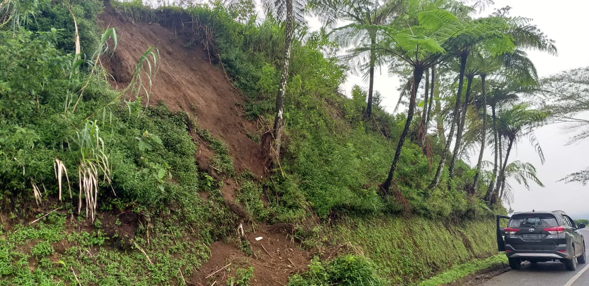 Dempo2