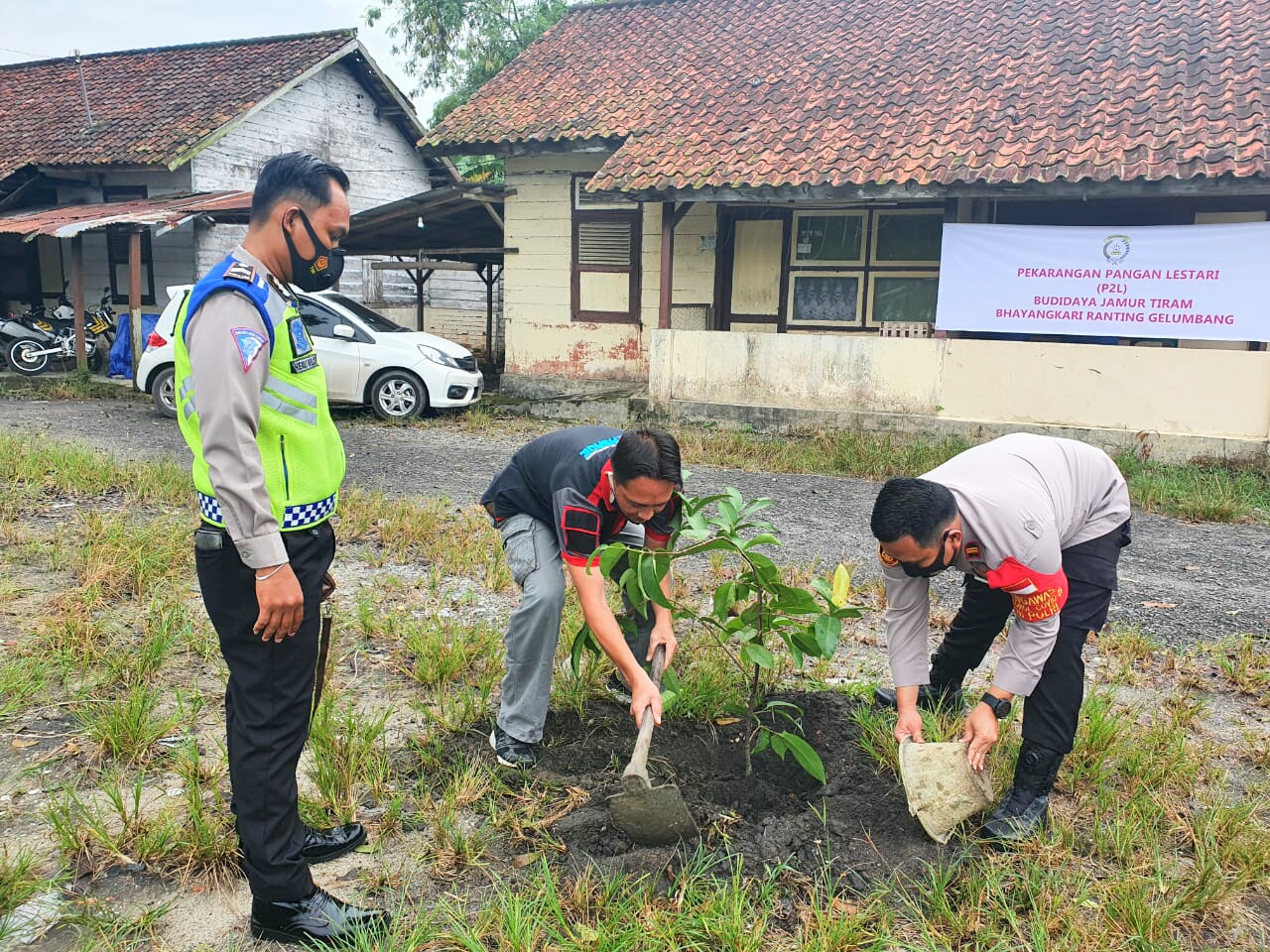 Gelumbang 3