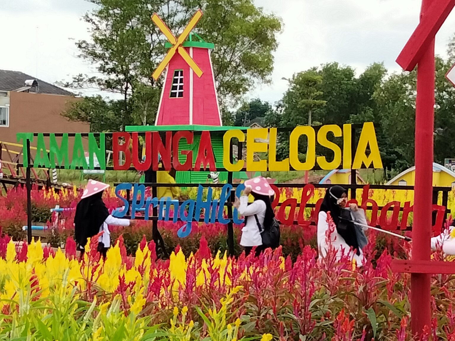 Taman Bunga Celosia, Destinasi Wisata Baru di Kota Palembang - Sumsel