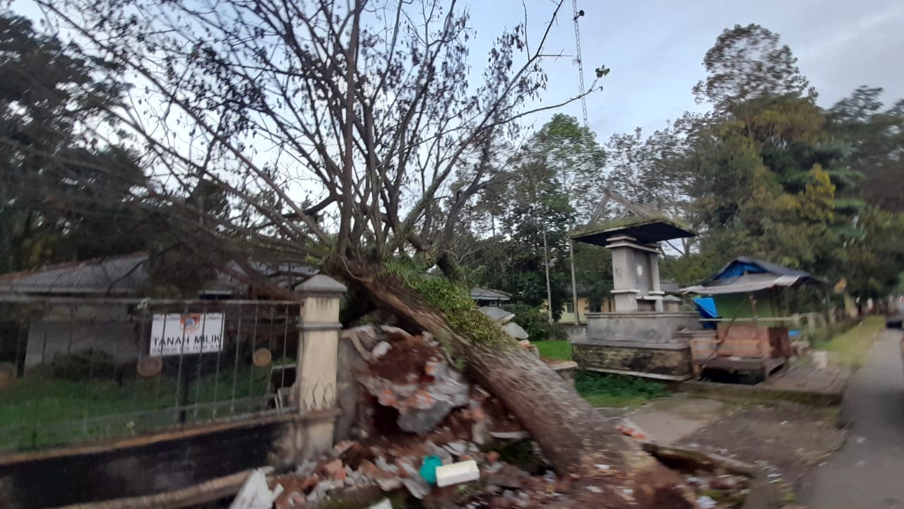 Pohon2
