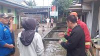 Tinjau