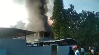 Terbakar