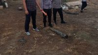 IMG-20210702-WA0019