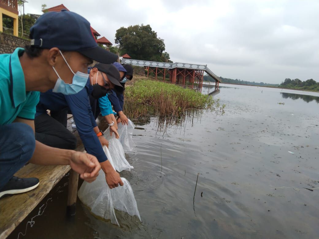 Penebaran 140 ribu benih ikan di Danau Ulak Lia Kelurahan Soak Baru Kecamatan Sekayu