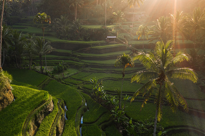 Alam Indonesia - Resize