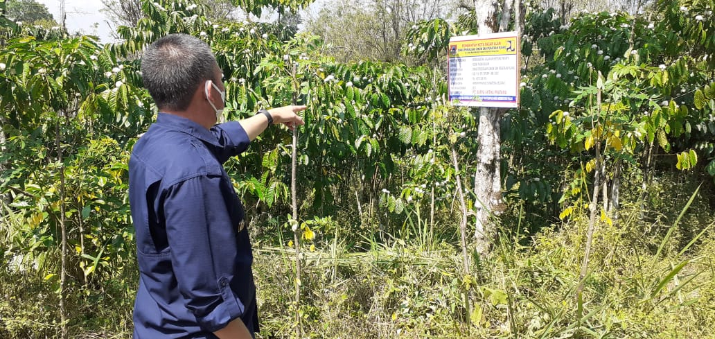 Pagaralam