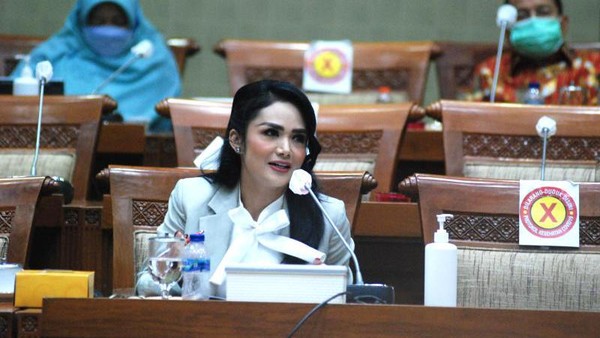 anggota-komisi-ix-dpr-krisdayanti_169