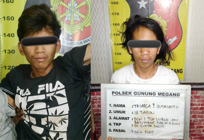 Tersangka Pencurian