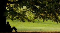 man-under-tree.jpg