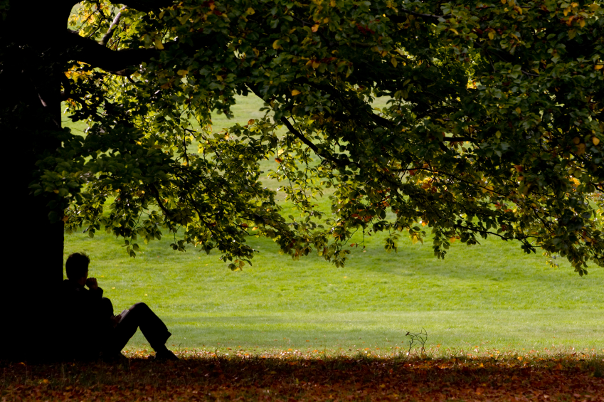 man-under-tree.jpg