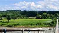 IMG_20211012_135953