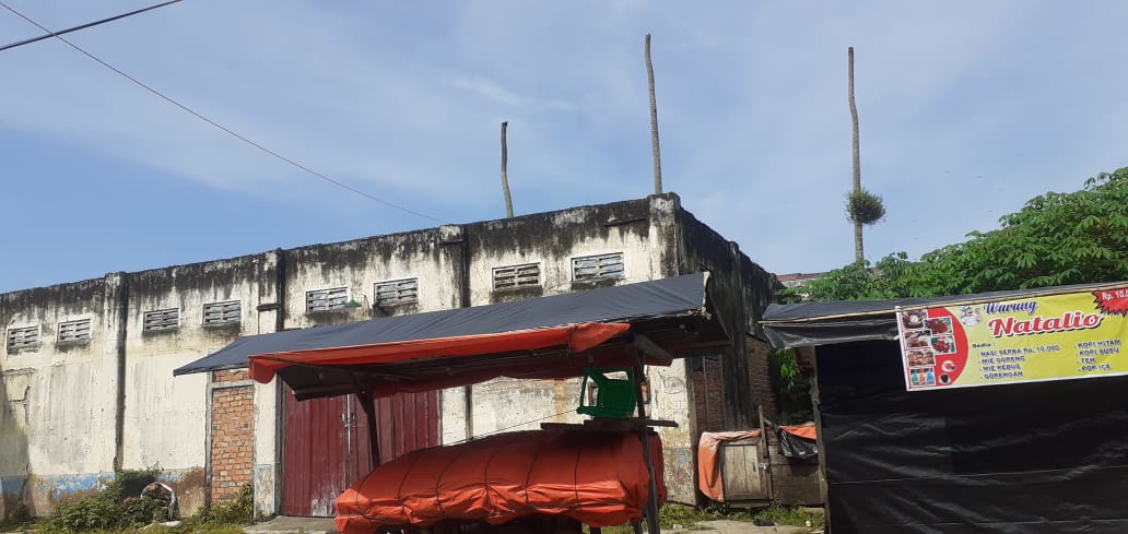 Pohon