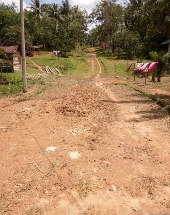 IMG-20211123-WA0063
