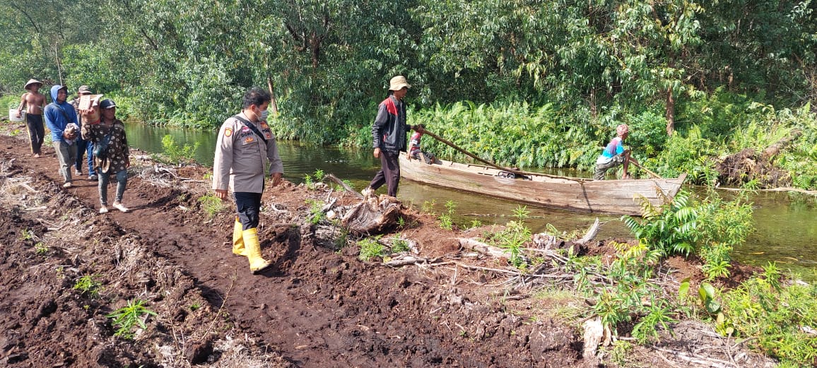Buaya